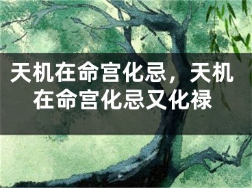 天机在命宫化忌，天机在命宫化忌又化禄