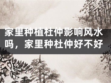 家里种植杜仲影响风水吗，家里种杜仲好不好