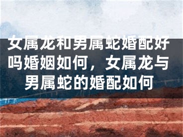 女属龙和男属蛇婚配好吗婚姻如何，女属龙与男属蛇的婚配如何