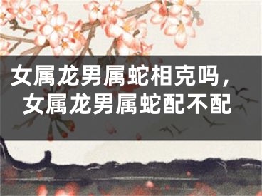 女属龙男属蛇相克吗，女属龙男属蛇配不配