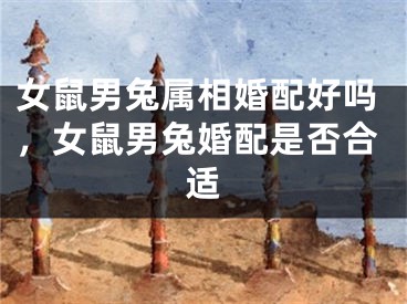 女鼠男兔属相婚配好吗，女鼠男兔婚配是否合适