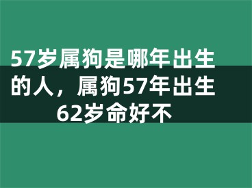 57岁属狗是哪年出生的人，属狗57年出生62岁命好不