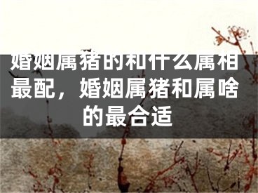 婚姻属猪的和什么属相最配，婚姻属猪和属啥的最合适