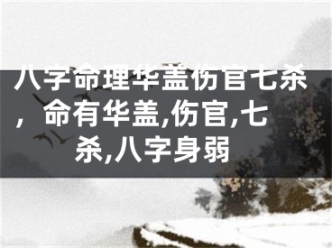八字命理华盖伤官七杀，命有华盖,伤官,七杀,八字身弱