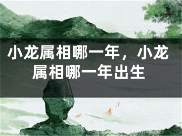 小龙属相哪一年，小龙属相哪一年出生