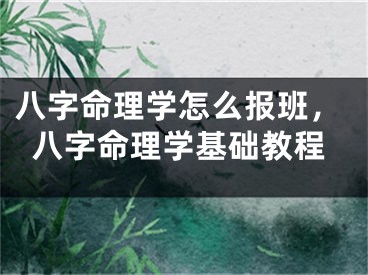 八字命理学怎么报班，八字命理学基础教程