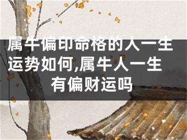 属牛偏印命格的人一生运势如何,属牛人一生有偏财运吗