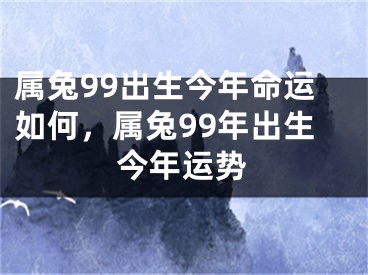 属兔99出生今年命运如何，属兔99年出生今年运势