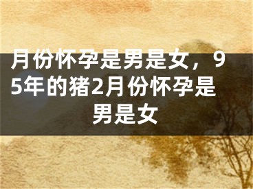 月份怀孕是男是女，95年的猪2月份怀孕是男是女