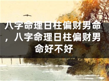八字命理日柱偏财男命，八字命理日柱偏财男命好不好