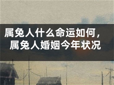 属兔人什么命运如何，属兔人婚姻今年状况