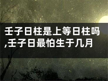 壬子日柱是上等日柱吗,壬子日最怕生于几月