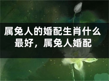 属兔人的婚配生肖什么最好，属兔人婚配