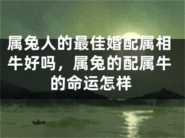 属兔人的最佳婚配属相牛好吗，属兔的配属牛的命运怎样