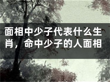 面相中少子代表什么生肖，命中少子的人面相