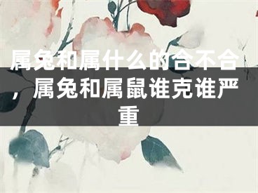 属兔和属什么的合不合，属兔和属鼠谁克谁严重