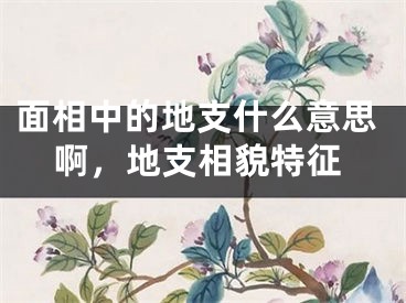 面相中的地支什么意思啊，地支相貌特征