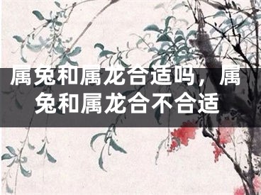 属兔和属龙合适吗，属兔和属龙合不合适