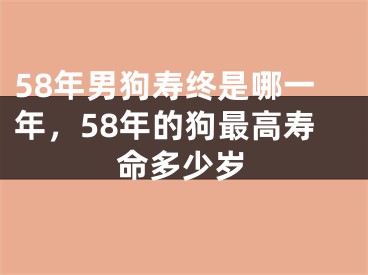58年男狗寿终是哪一年,58年的狗最高寿命多少岁