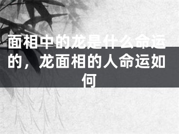 面相中的龙是什么命运的，龙面相的人命运如何