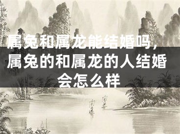 属兔和属龙能结婚吗，属兔的和属龙的人结婚会怎么样