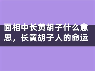 面相中长黄胡子什么意思，长黄胡子人的命运