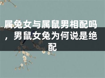 属兔女与属鼠男相配吗，男鼠女兔为何说是绝配
