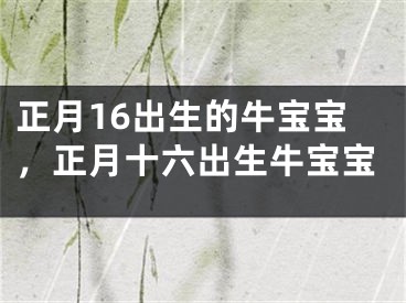 正月16出生的牛宝宝，正月十六出生牛宝宝