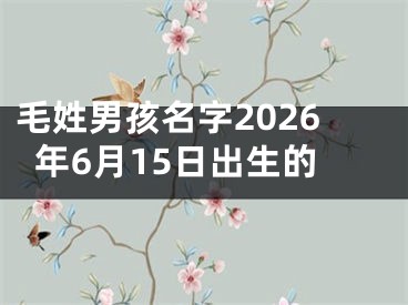 毛姓男孩名字2026年6月15日出生的