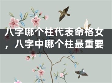 八字哪个柱代表命格女，八字中哪个柱最重要