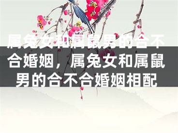 属兔女和属鼠男的合不合婚姻，属兔女和属鼠男的合不合婚姻相配