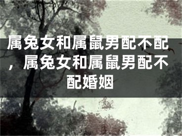 属兔女和属鼠男配不配,属兔女和属鼠男配不配婚姻