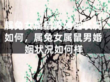 属兔女属鼠男婚姻状况如何，属兔女属鼠男婚姻状况如何样