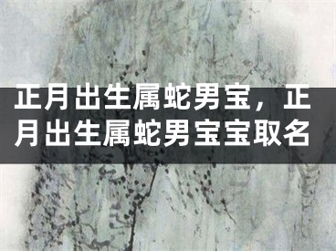 正月出生属蛇男宝，正月出生属蛇男宝宝取名