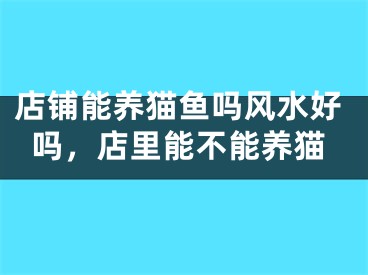 店铺能养猫鱼吗风水好吗，店里能不能养猫