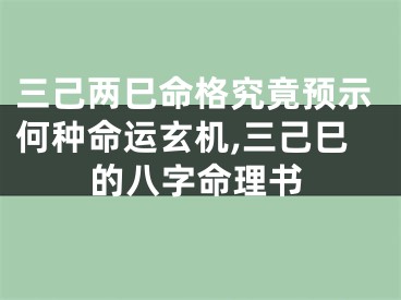 三己两巳命格究竟预示何种命运玄机,三己巳的八字命理书