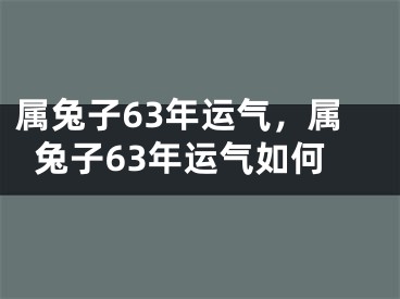 属兔子63年运气，属兔子63年运气如何