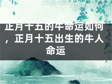 正月十五的牛命运如何，正月十五出生的牛人命运