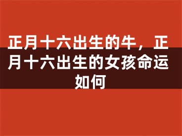 正月十六出生的牛，正月十六出生的女孩命运如何