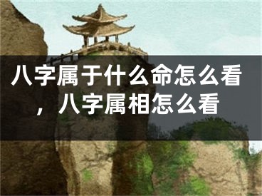 八字属于什么命怎么看，八字属相怎么看