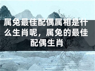 属兔最佳配偶属相是什么生肖呢，属兔的最佳配偶生肖