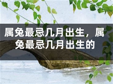 属兔最忌几月出生，属兔最忌几月出生的