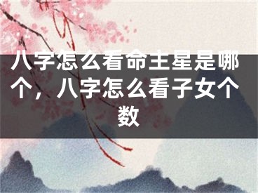 八字怎么看命主星是哪个，八字怎么看子女个数