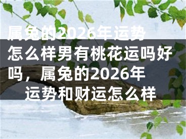 属兔的2026年运势怎么样男有桃花运吗好吗，属兔的2026年运势和财运怎么样