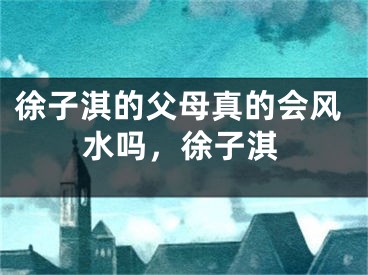 徐子淇的父母真的会风水吗，徐子淇