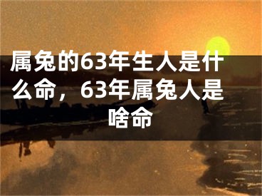 属兔的63年生人是什么命，63年属兔人是啥命