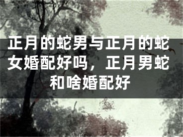 正月的蛇男与正月的蛇女婚配好吗，正月男蛇和啥婚配好