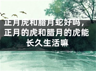 正月虎和腊月蛇好吗，正月的虎和腊月的虎能长久生活嘛