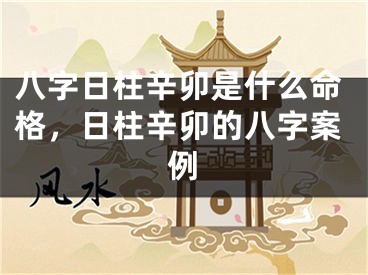 八字日柱辛卯是什么命格，日柱辛卯的八字案例