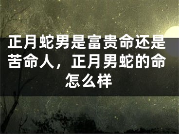 正月蛇男是富贵命还是苦命人，正月男蛇的命怎么样